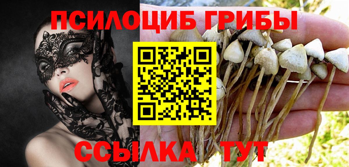 ГАШ Шарыпово