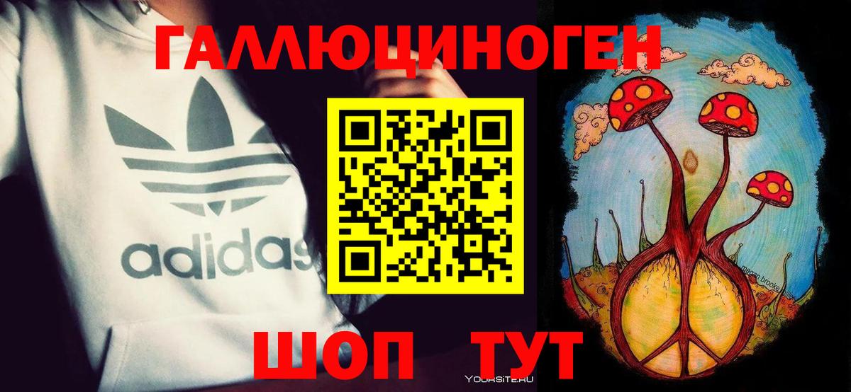 Шарыпово  Псилоцибиновые грибы MAGIC MUSHROOMS  Вход с VPN 
